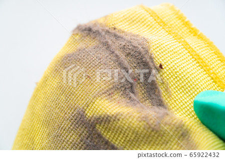 close up dust on a yellow rag after cleaning close up dust on a yellow rag after cleaning 65922432