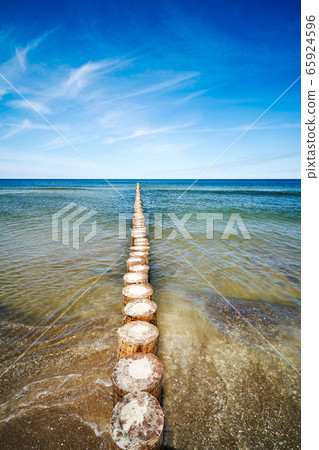 wooden piles overgrown with seaweed in the sea 65924596