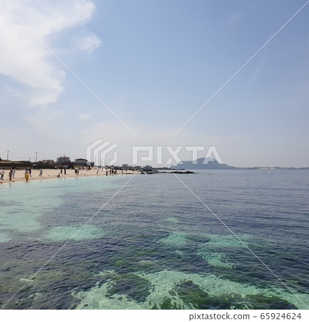 海 海 65924624