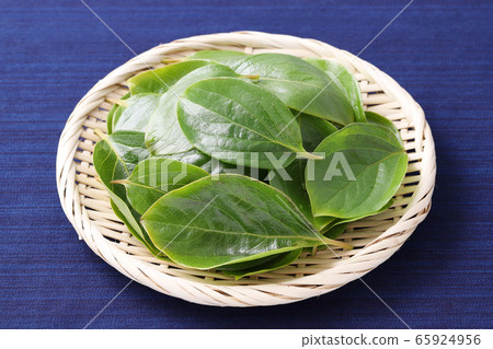 Persimmon leaves Persimmon leaves 65924956