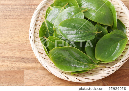 Persimmon leaves 65924958
