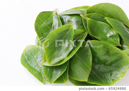 Persimmon leaves 65924998