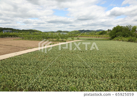 Gyeongbuk, Uiseong-gun, Geumseong-myeon, Jomun National Historic Site 65925059