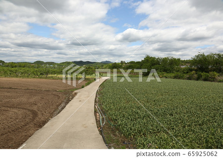 Gyeongbuk, Uiseong-gun, Geumseong-myeon, Jomun National Historic Site 65925062