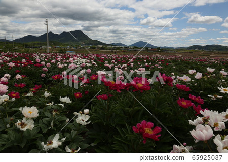 Gyeongbuk, Uiseong-gun, Geumseong-myeon, Jomun National Historic Site Gyeongbuk, Uiseong-gun, Geumseong-myeon, Jomun National Historic Site 65925087