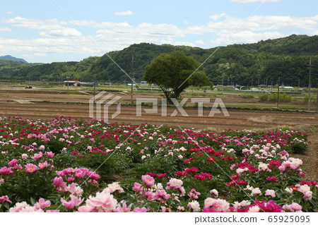 Gyeongbuk, Uiseong-gun, Geumseong-myeon, Jomun National Historic Site 65925095