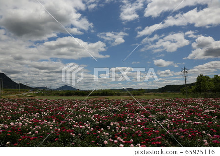 Gyeongbuk, Uiseong-gun, Geumseong-myeon, Jomun National Historic Site 65925116