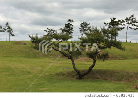 城門市歷史悠久的金城面義城郡慶北 城門市歷史悠久的金城面義城郡慶北 65925435