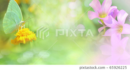 Nature gree background banner Abstract blur summer Nature gree background banner Abstract blur summer 65926225