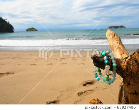 <Costa Rica> Manuel Antonio National Park 65927490