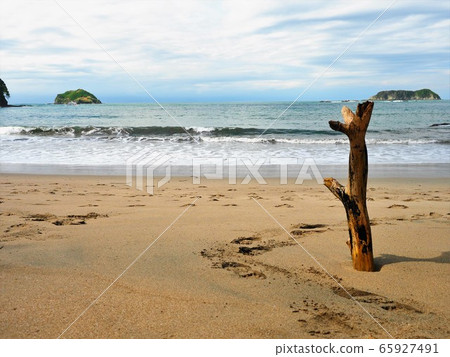 <Costa Rica> Manuel Antonio National Park 65927491