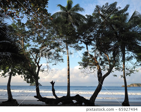 <Costa Rica> Manuel Antonio National Park <Costa Rica> Manuel Antonio National Park 65927494