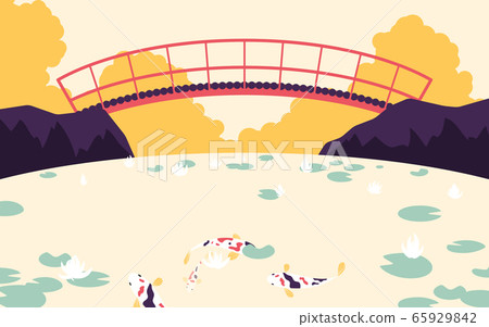 Japanese garden with red bridge across the river with fancy carp and lotus 65929842