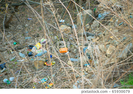 a pile of garbage in the woods. garbage collapse. Environmental pollution. environmental disaster of plastic recycling a pile of garbage in the woods. garbage collapse. Environmental pollution. environmental disaster of plastic recycling 65930079