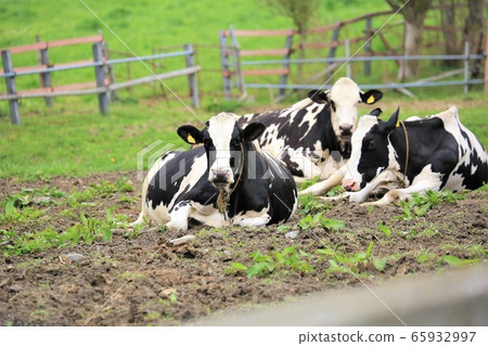 A landscape of a ranch 65932997