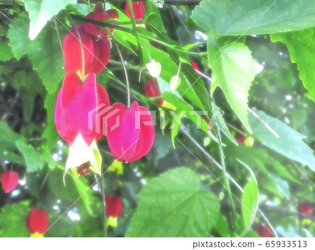 Balloon balloon 65933513