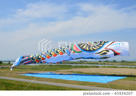 輕輕飄動的“巨無盡b”（ita玉縣川川河床綠色公園/加祖市） 65934207