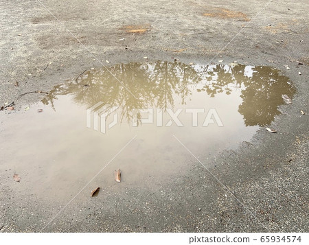 Trees reflected in a puddle Trees reflected in a puddle 65934574