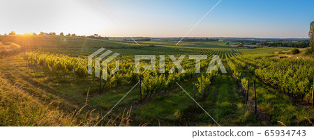 Sunset landscape bordeaux wineyard france, europe Nature Sunset landscape bordeaux wineyard france, europe Nature 65934743