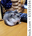 馬馬 65935694