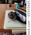 我愛西蘭花 65935695