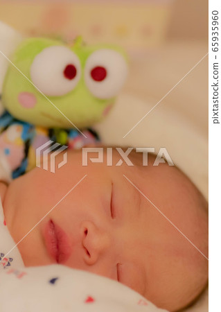 Newborn Newborn 65935960