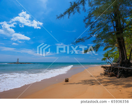 Tropical beach with lighthouse (Khaorak, Phang Nga Province, Kingdom of Thailand) 65936356
