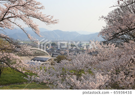 Kasama Gakei 65936438