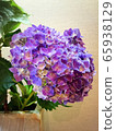  hydrangea 65938129