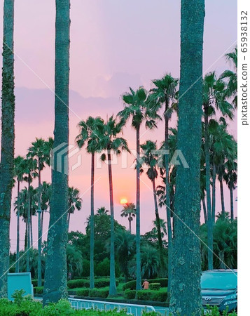 日落 日落 65938132