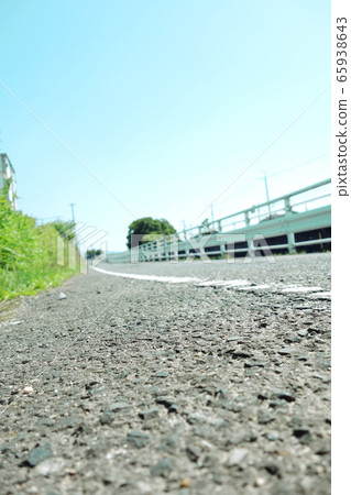 Roadside Road Weeds 65938643