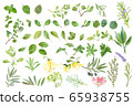 Herbal materials 65938755