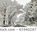 Snow scene 65940287