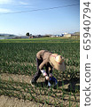 農場工作 65940794