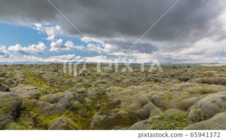 moss-covered lava fields moss-covered lava fields 65941372