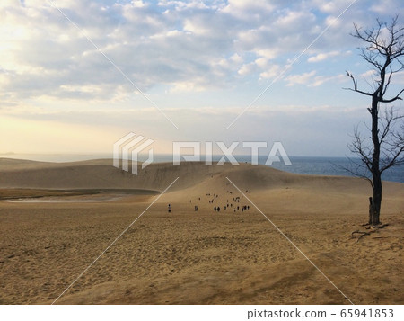 Tottori sand dunes in the evening Tottori sand dunes in the evening 65941853