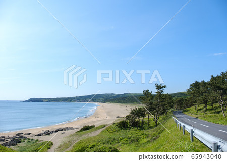 田邊海岸大道 65943040