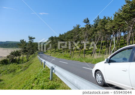 Tanesashi Coast Drive 65943044