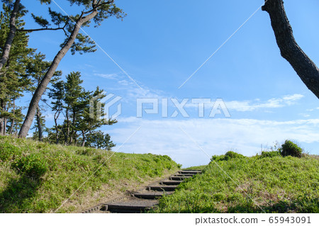 Species coast - Sanriku Reconstruction national park 65943091