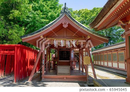 Tsushima Shrine 9682 Tsushima Shrine 9682 65945045