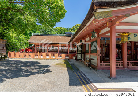 Tsushima Shrine 9638 Tsushima Shrine 9638 65945061