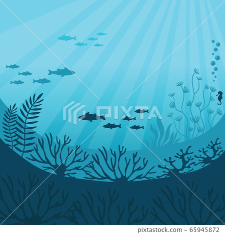 Undersea world. Underwater ocean fauna Undersea world. Underwater ocean fauna 65945872