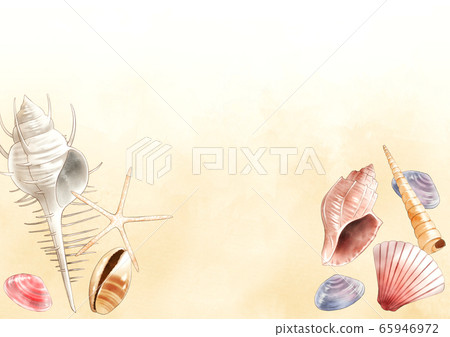 貝殼背景 65946972