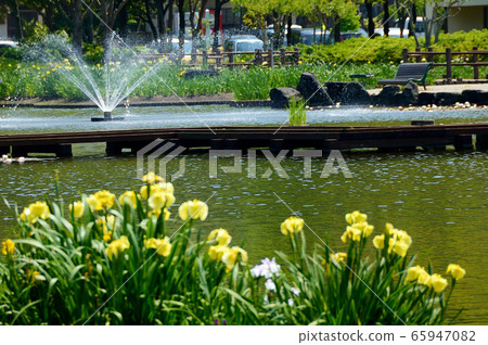 鳥取縣百合濱市多哥A彩湖公園的風景 65947082