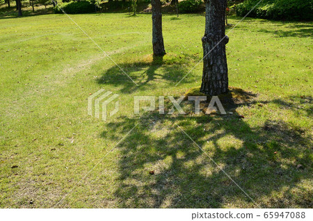 鳥取縣由里濱市多哥湖風光 65947088