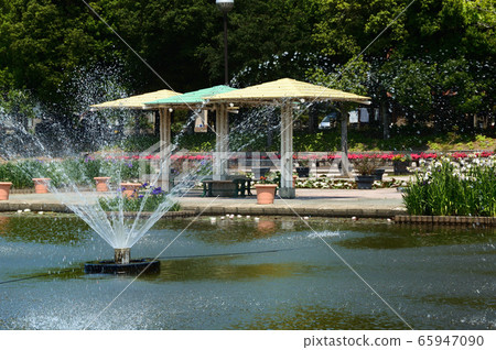 鳥取縣百合濱市多哥A彩湖公園的風景 65947090