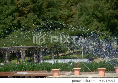 鳥取縣百合濱市多哥A彩湖公園的風景 65947091