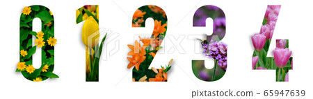 Floral number. The number 0, 1, 2, 3, 4 are made from colorful flower photos. A collection of wonderful flora letters and various creation ideas. flower on a white isolated background with clipping pa 65947639