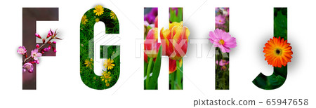 Floral letters. The letters F, G, H, I, J are made from colorful flower photos. A collection of wonderful flora letters for unique spring decorations and various creation ideas. flower on a white isol 65947658