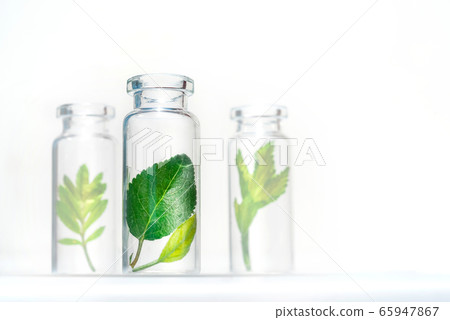 Bottles with herbs, natural essential oil, organic cosmetics on white background 65947867